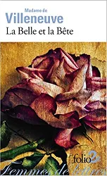 livre la belle et la bete