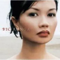 cd bic runga - beautiful collision (2002)