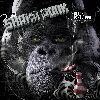 cd shaka ponk - the black pixel ape (drinking cigarettes to take a break) (2014)