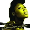 cd v.v. brown - travelling like the light (2009)