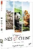 dvd nés en chine