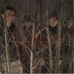 vinyle the stranglers - off the beaten track (1986)