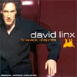 cd david linx - l'instant d'apres (2001)