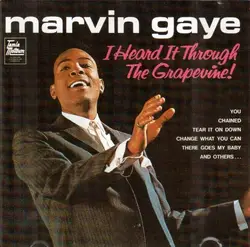 cd marvin gaye - i heard it through the grapevine! (2016)