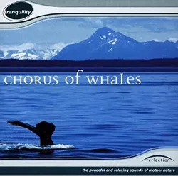 cd no artist - chorus of whales (1997)