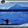 cd no artist - chorus of whales (1997)