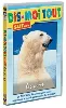 dvd dis - moi tout sur... les ours