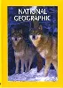 dvd national geographic : l'epopée des loups de yellowstone