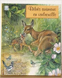 livre bebes animaux en vadrouille