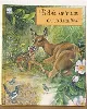 livre bebes animaux en vadrouille