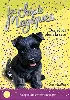 livre les chiots magiques tome 11 - des rêves plein la tête