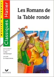 livre les romans de la table ronde : chevaliers et héros