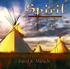 cd david r. maracle - spirit flutes (2008)