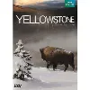 dvd yellowstone, la lutte pour la vie
