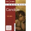 livre candide - ou l'optimisme