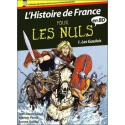 livre l'histoire de france pour le nuls - les gaulois