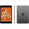 tablette apple ipad mini wi - fi 64 go 7.9 pouces gris sidéral