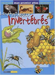 livre les animaux invertébrés
