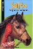 livre mes animaux préférés : salto : le poney champion