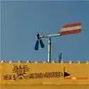 cd binder und krieglstein - new weird austria (2007)