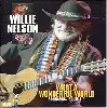 dvd willie nelson what a wonderful world