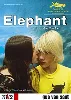 dvd elephant - édition single