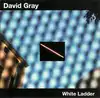 cd david gray - white ladder (2000)