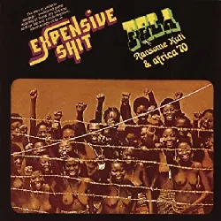 cd fela kuti - expensive shit / he miss road (2000)