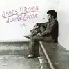 cd james brown - in the jungle groove (1986)