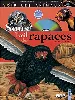 livre sous l'oeil des rapaces - (1 dvd)