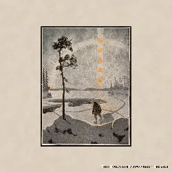 vinyle the rural alberta advantage - the wild (2017)