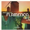 cd arenas - sortilège du flamenco (1997)