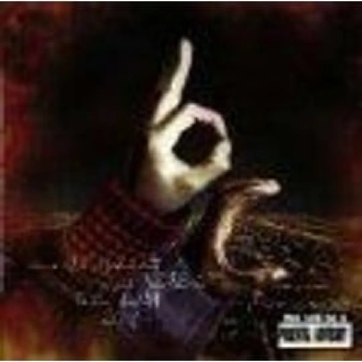 Body Count-Violent Demise: The Last Days-LP Vinyl - Rockers Records