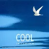 cd cool 4