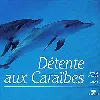 cd détente aux caraïbes