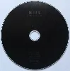 cd fortune (3) - staring at the ice melt (2010)