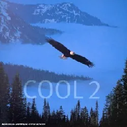cd various - cool 2 (1997)