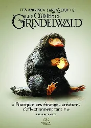 dvd les animaux fantastiques : les crimes de grindelwald