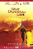 dvd what dreams may come