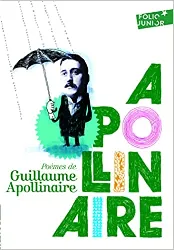 livre poèmes de guillaume apollinaire