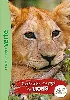 livre wild immersion tome 1 - expédition au pays des lions