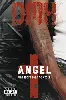 dvd dmx - angel