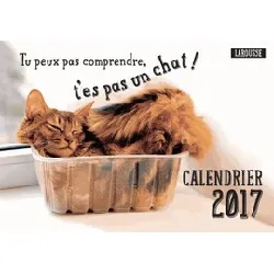 livre calendrier 2017 tu peux pas comprendre t'es pas un chat