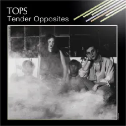 cd tops (3) - tender opposites (2012)