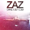 dvd zaz : sans tsu tsou