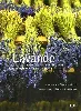 livre lavande - la lavande aux champs, au jardin, dans la maison et dans l'assiette