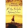 livre mille soleils splendides