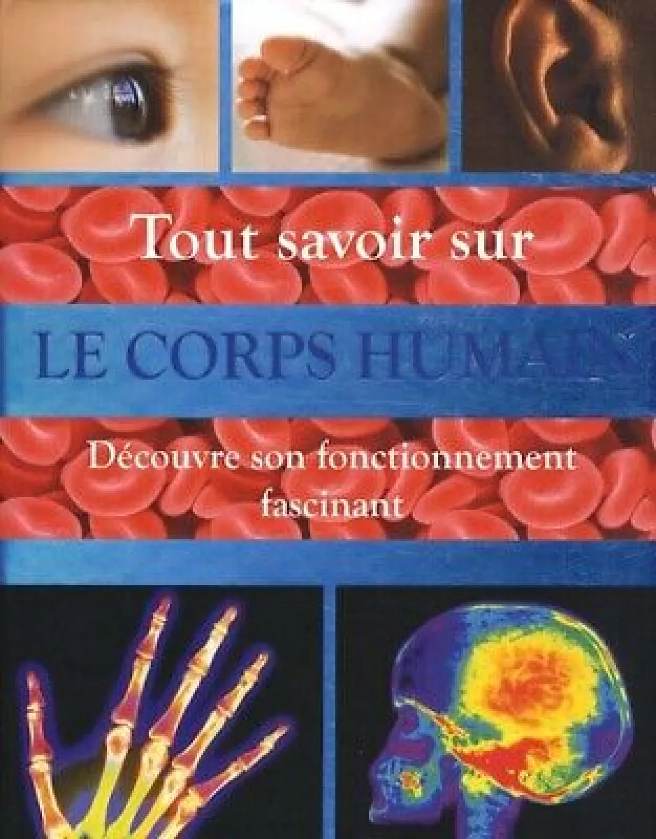 Livre Tout savoir sur Le corps humain Découvre son fonctionnement — free download