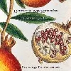 cd loreena mckennitt - a winter garden (five songs for the season) (1995)