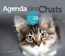 livre agenda 2020 des chats